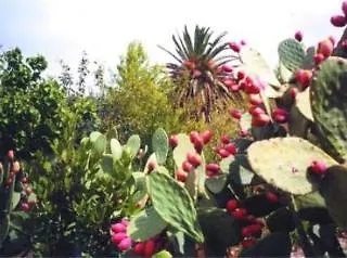 Case Colomba Hotel Buseto Palizzolo